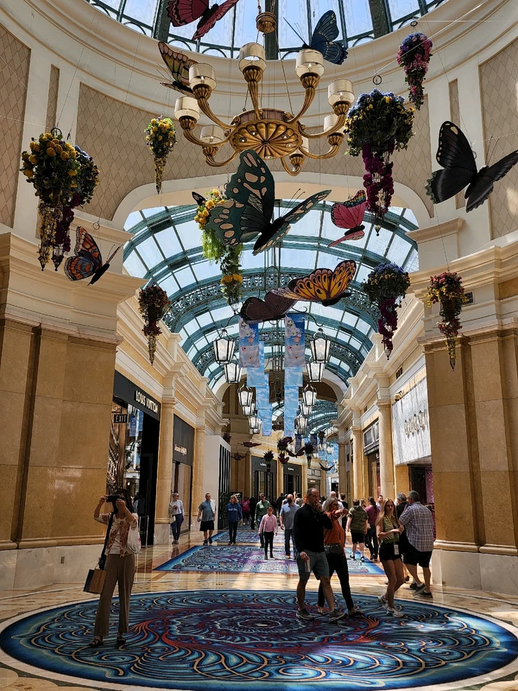 Just some photos of places I have been ♡