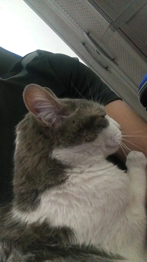 GIF subido por Juli
