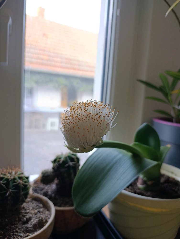 Obrázek nahrál ⭕⭕ Hlubina