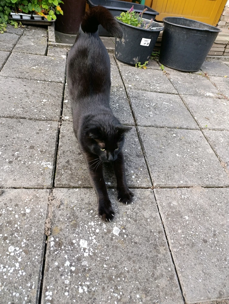 Obrázek nahrál ⭕⭕ Hlubina