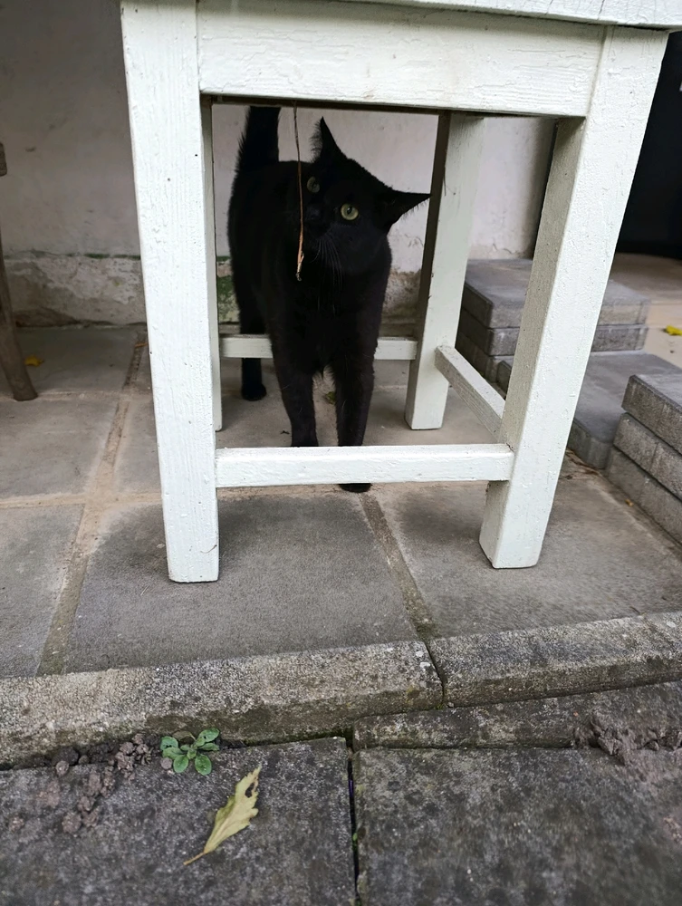 Obrázek nahrál ⭕⭕ Hlubina