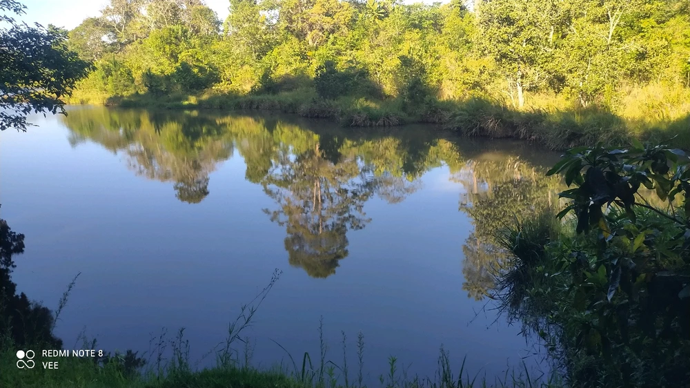 Image uploaded by Vee