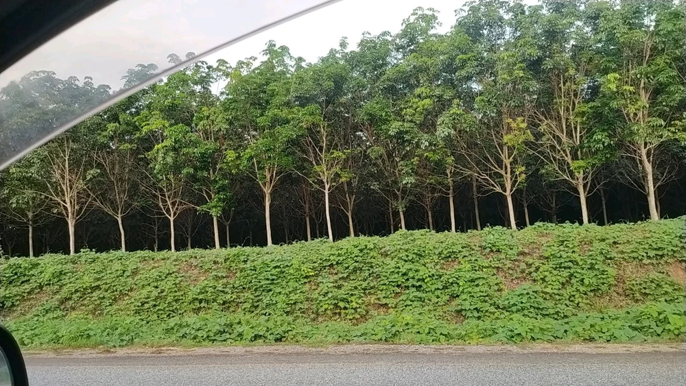 Image uploaded by Vee