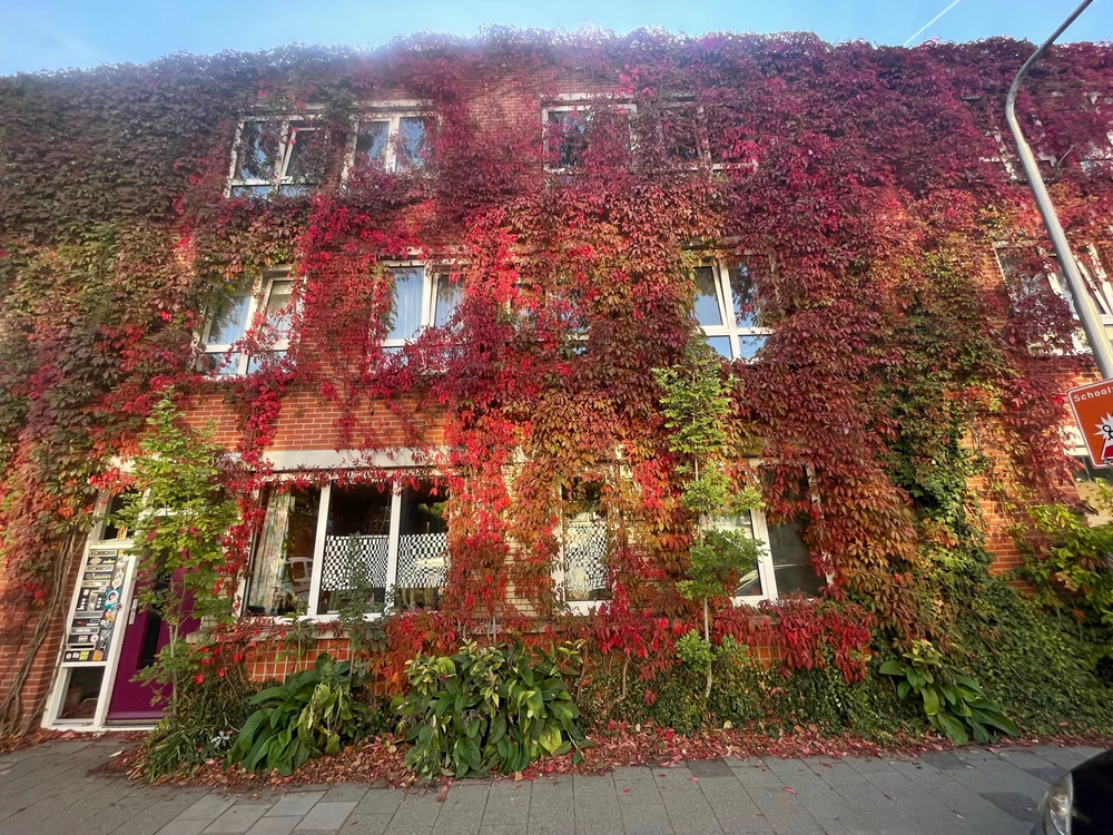 טילבורג ביום טוב