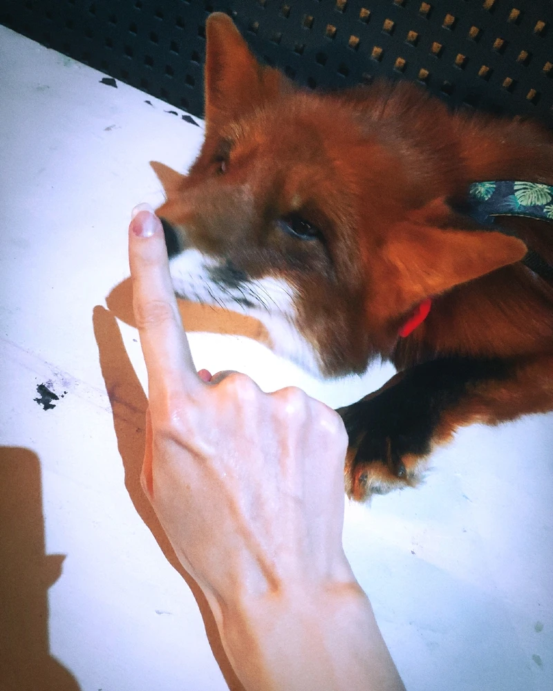 GIF загрузил 🅦🅣🅕ⓄⓍ