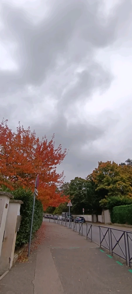 Image ajoutée par Saffiya