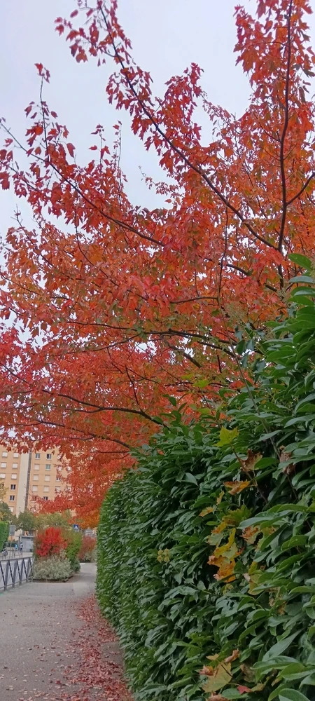 Image ajoutée par Saffiya