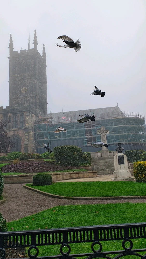 Image uploaded by Anatoli