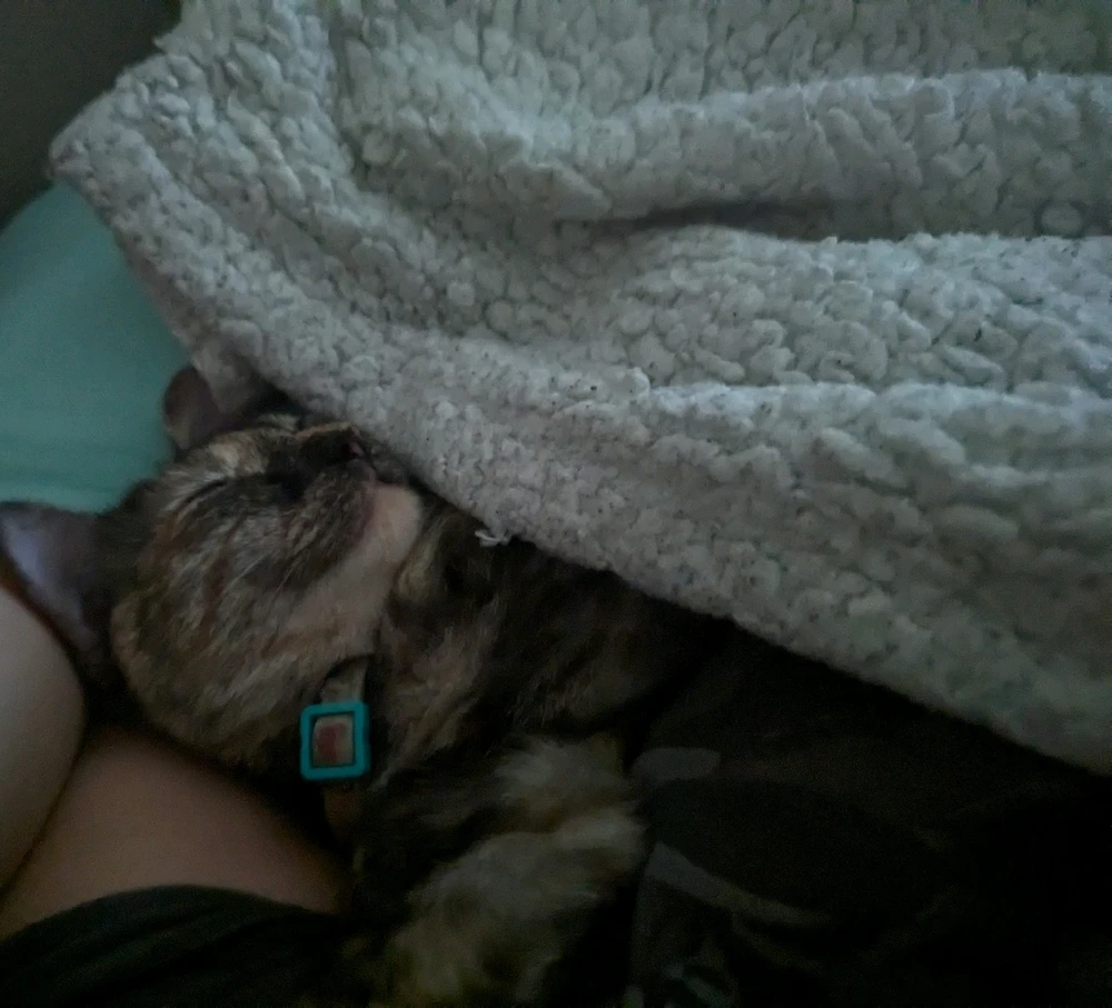 GIF uploaded by Jess