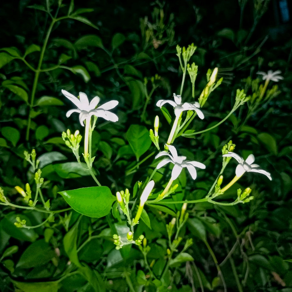 GIF uploaded by Bharath