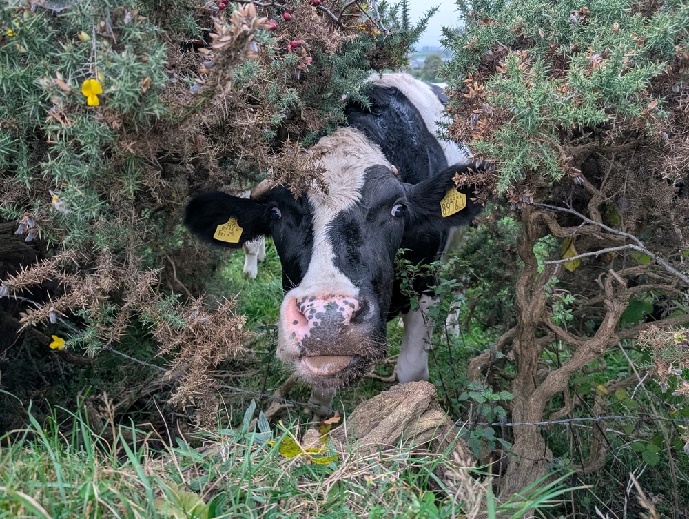 GIF uploaded by Graeme