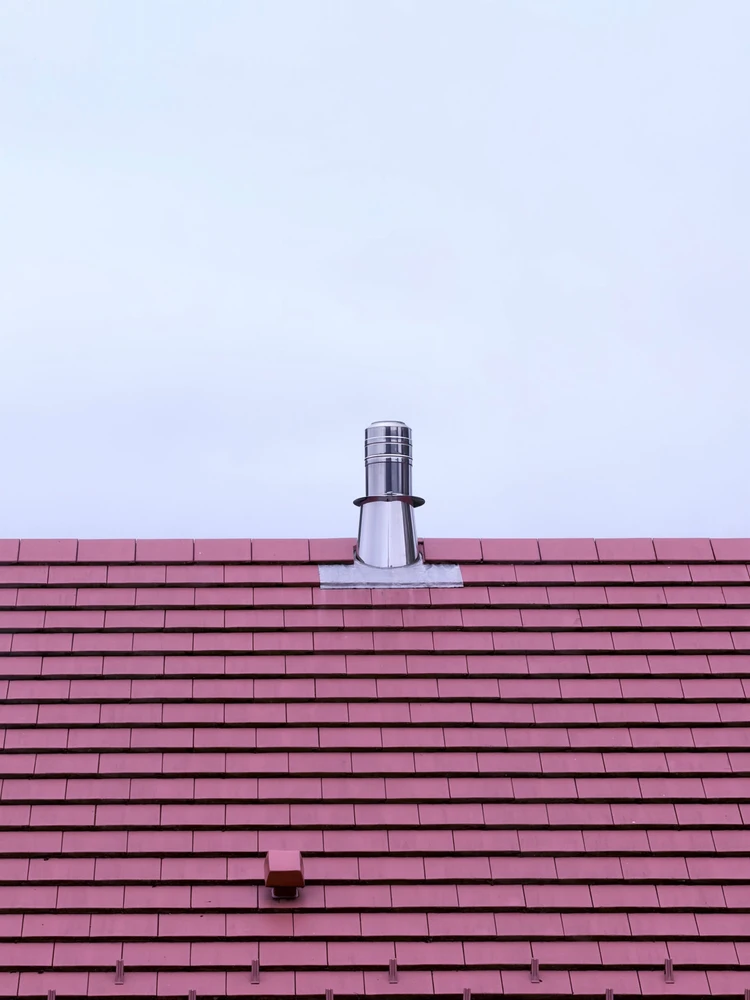 Pink Panther
