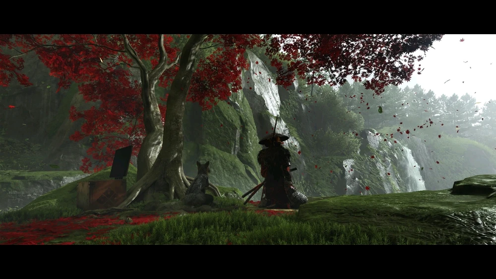 Image ajoutée par Frédéric