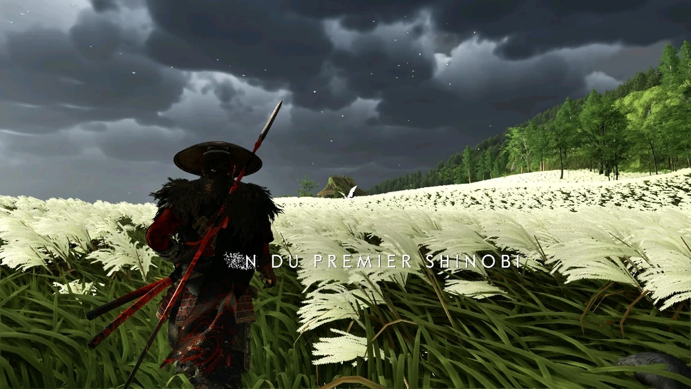 Image ajoutée par Frédéric