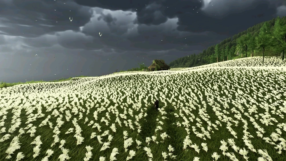 Image ajoutée par Frédéric