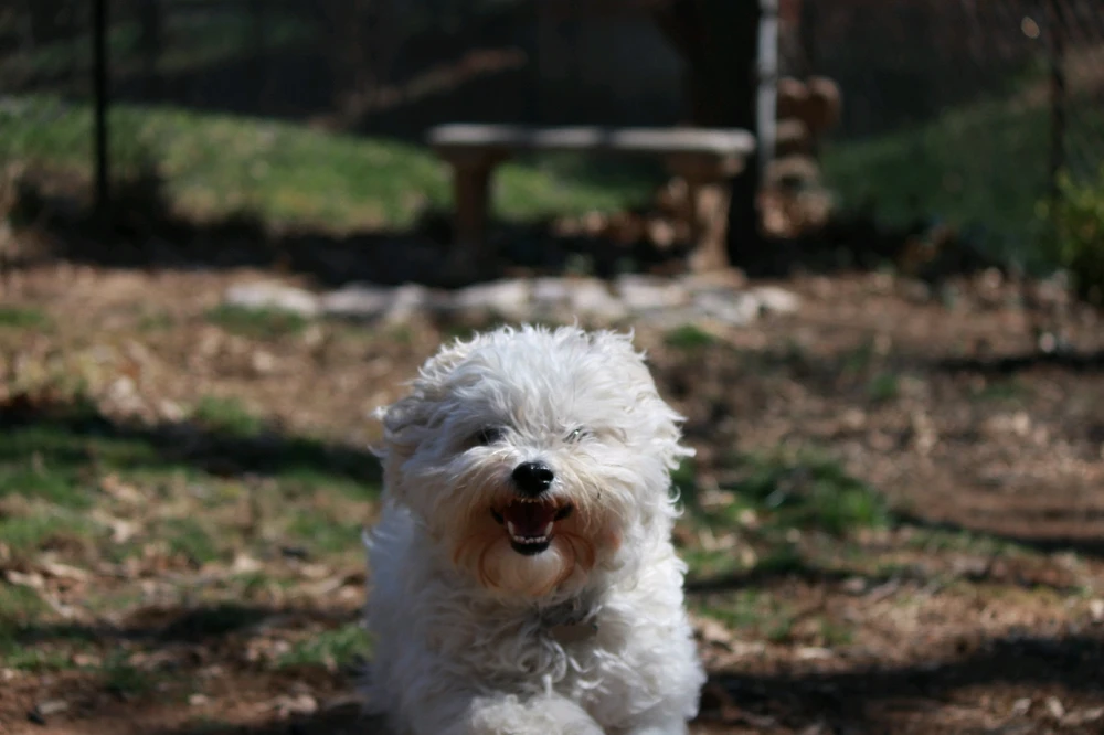 Image uploaded by Zach