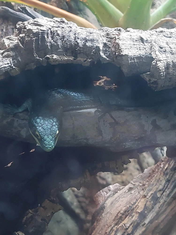 GIF uploaded by Jonathan