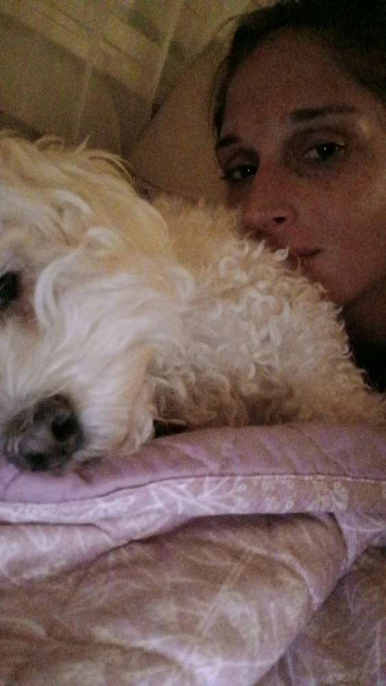 Imagen subida por Flor