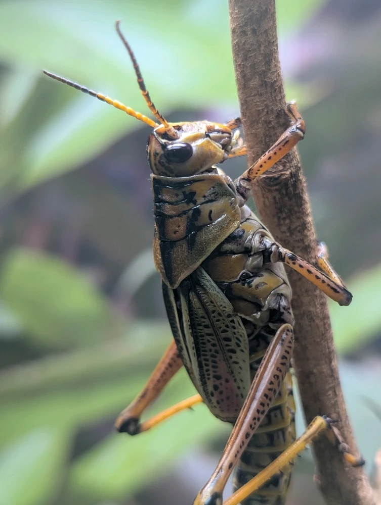 Image uploaded by Madison