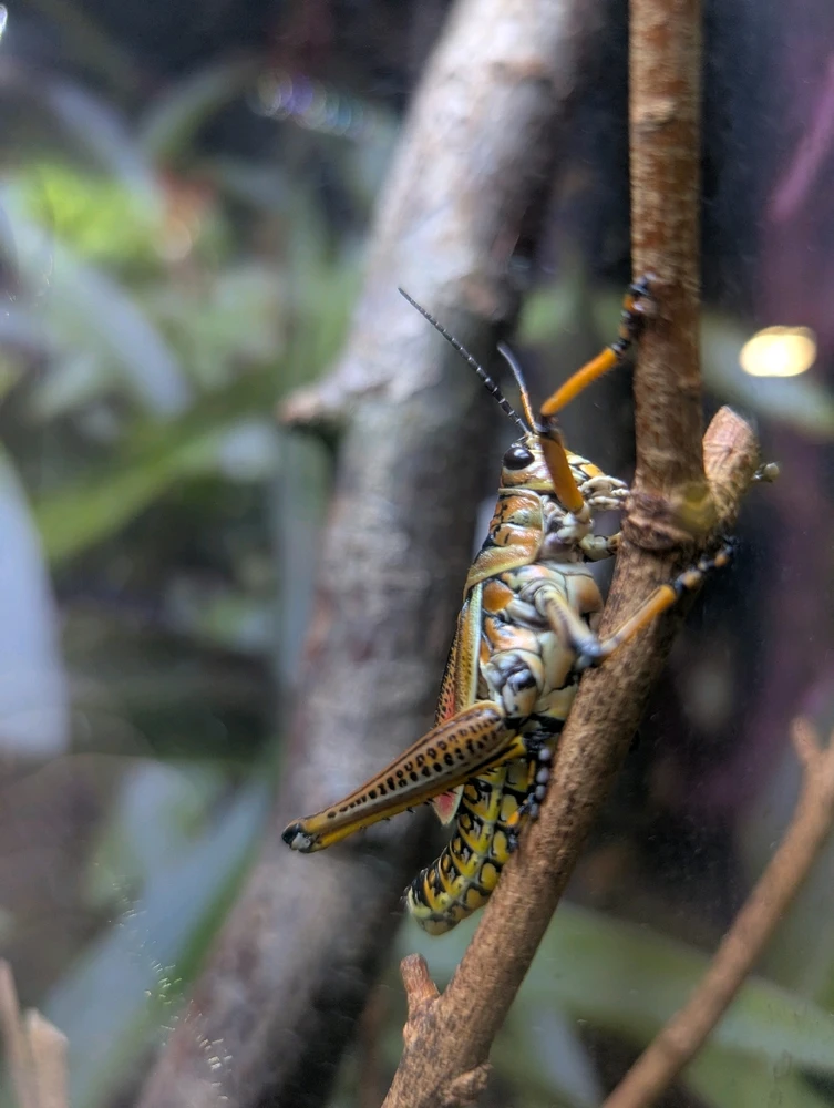 Image uploaded by Madison