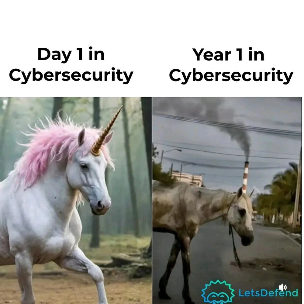 GIF загрузил Catalina