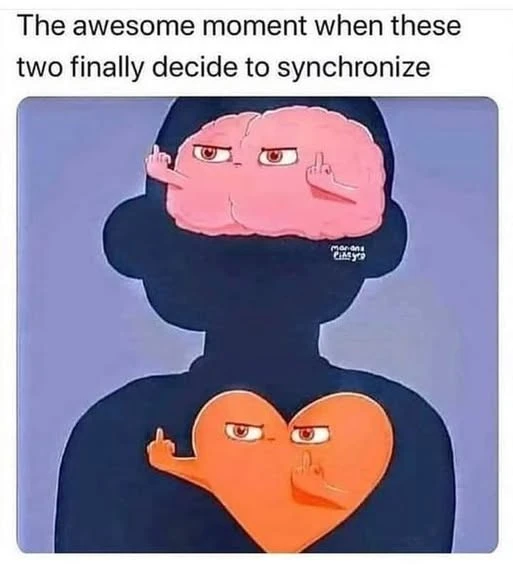 Bild hochgeladen von Raphael