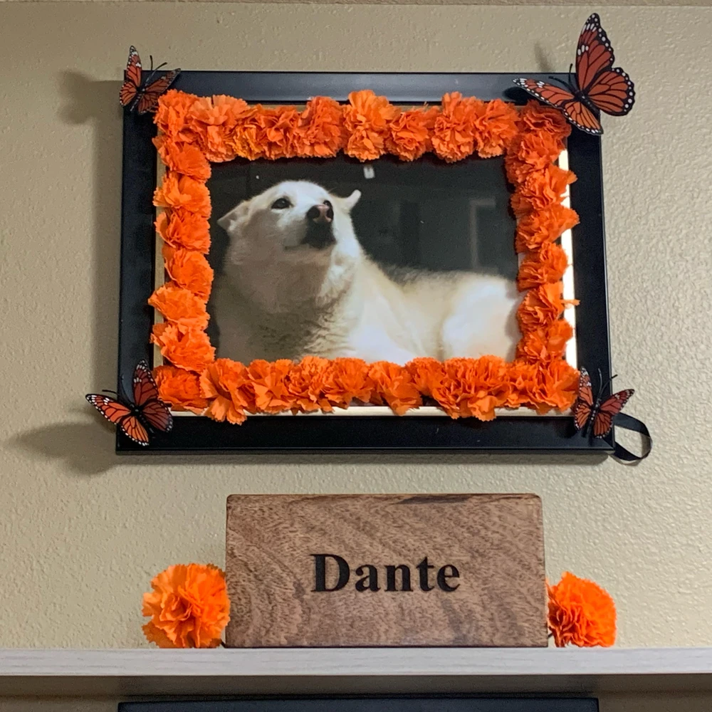 GIF hochgeladen von Oliver