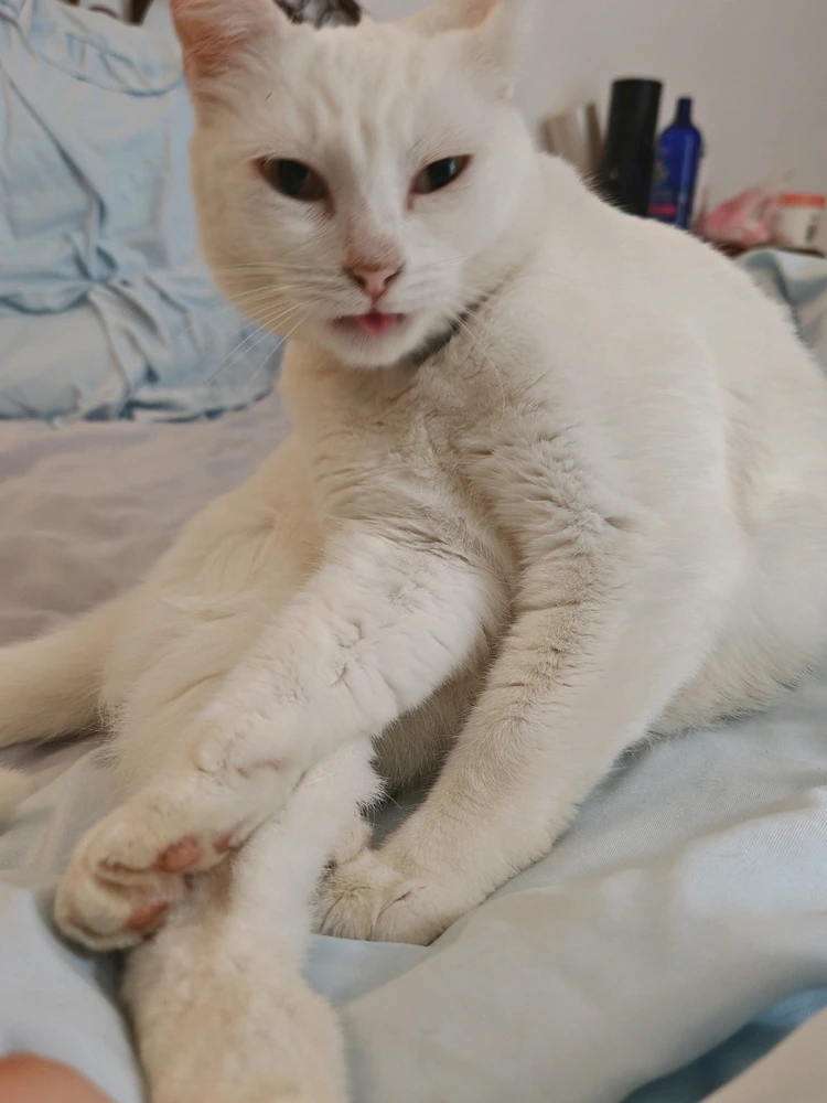 GIF ajouté par Agathe