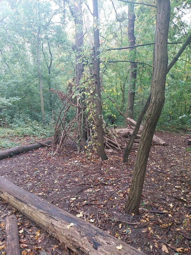 Gibt mir Coffin Rock Vibes 👻