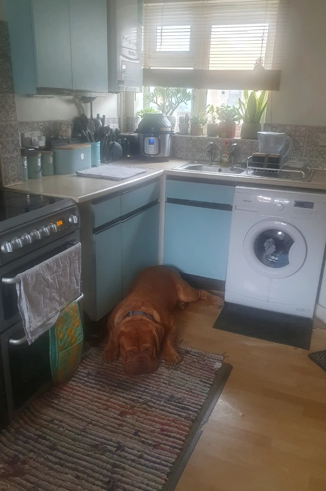 GIF uploaded by Nikki