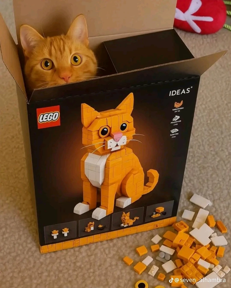 Lego🤩