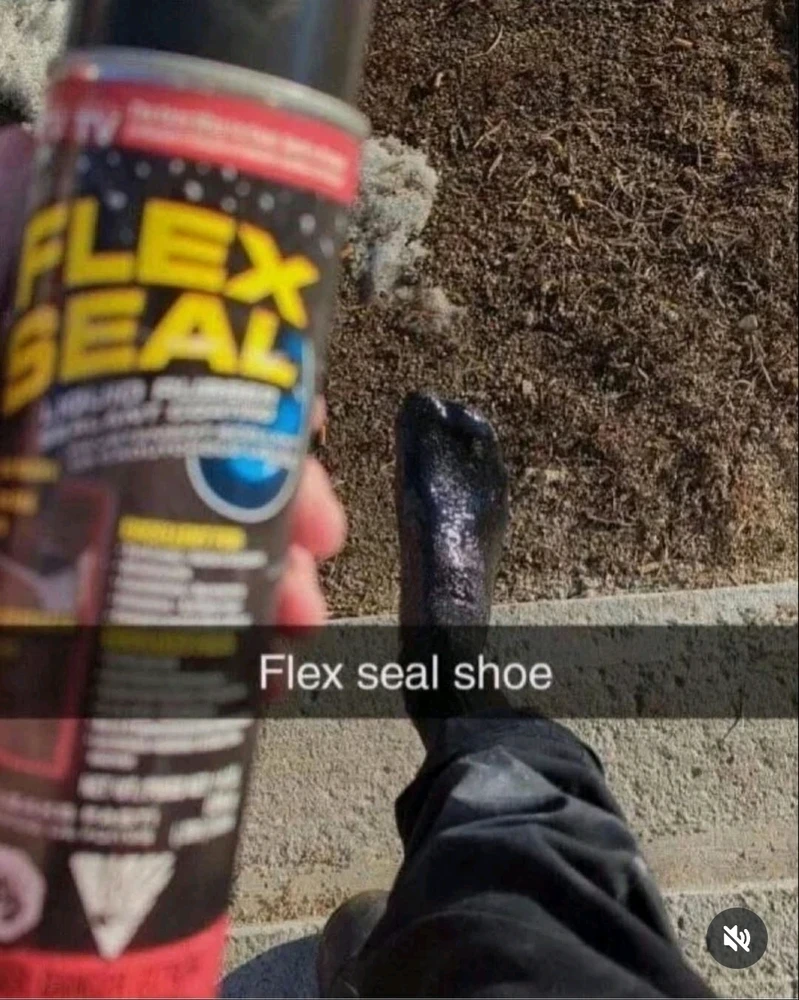 flex shoe