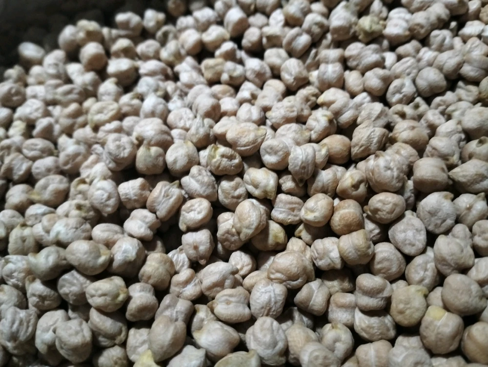 tell me which pulse is this?