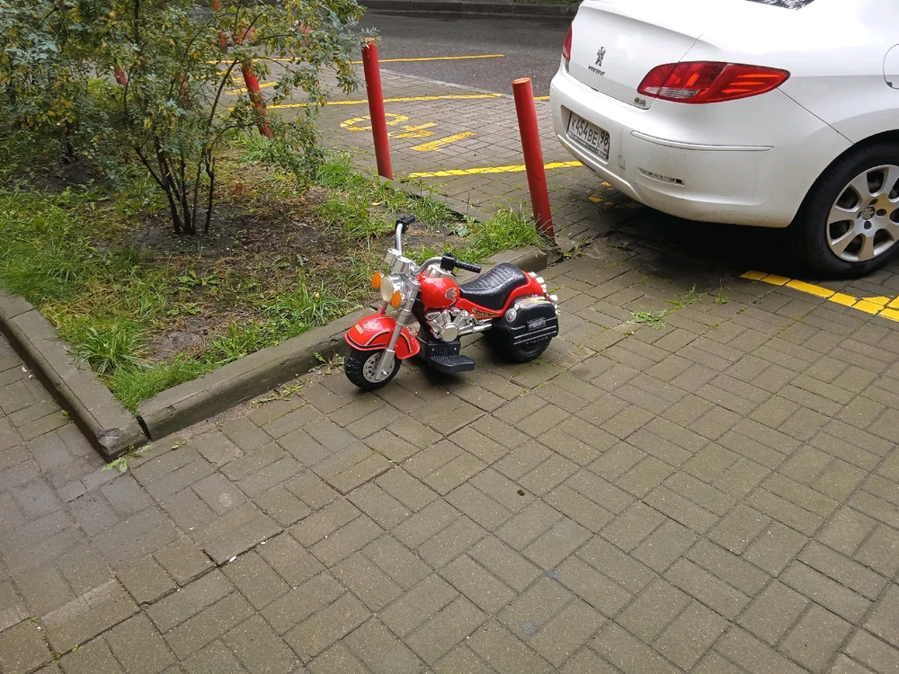 Кто оставил такого зверя?