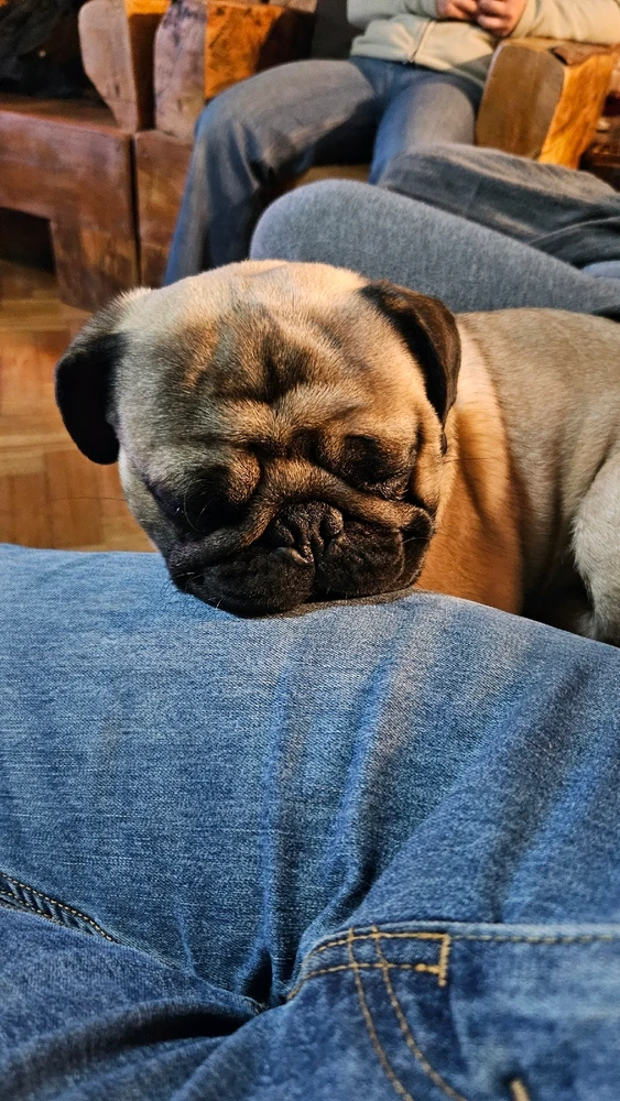 GIF subido por Lukas