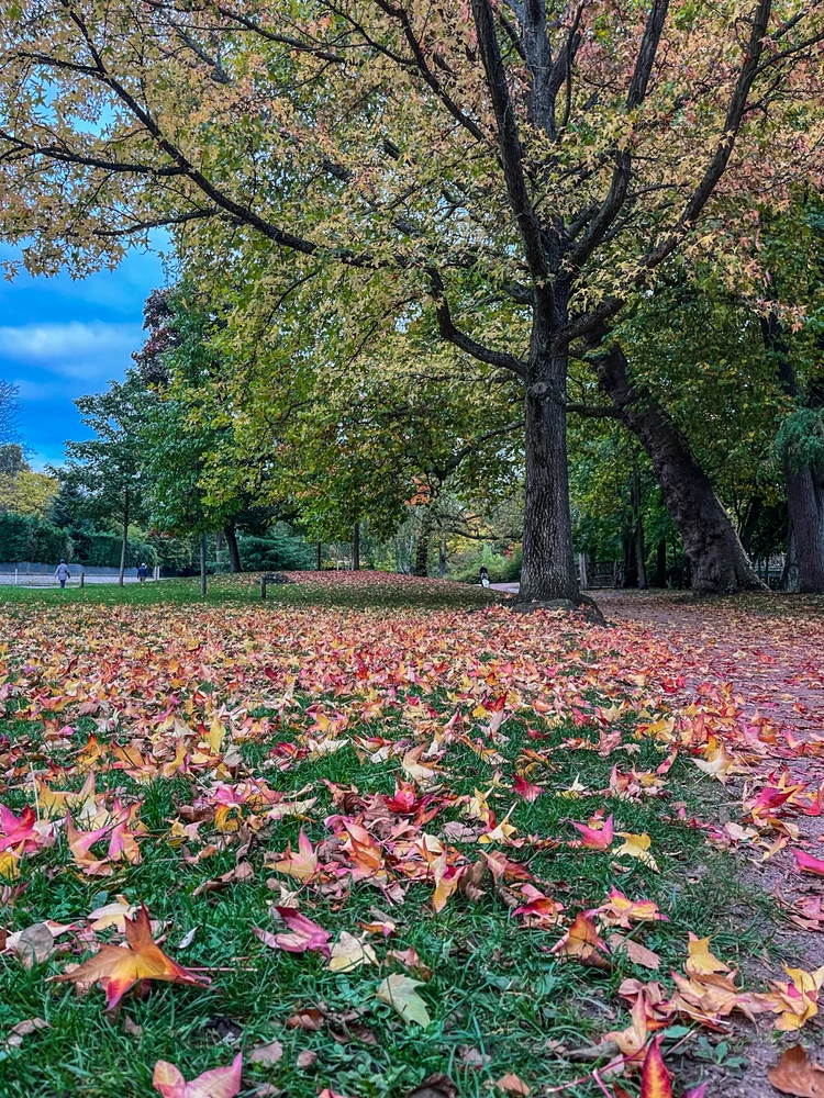 GIF diunggah dening George