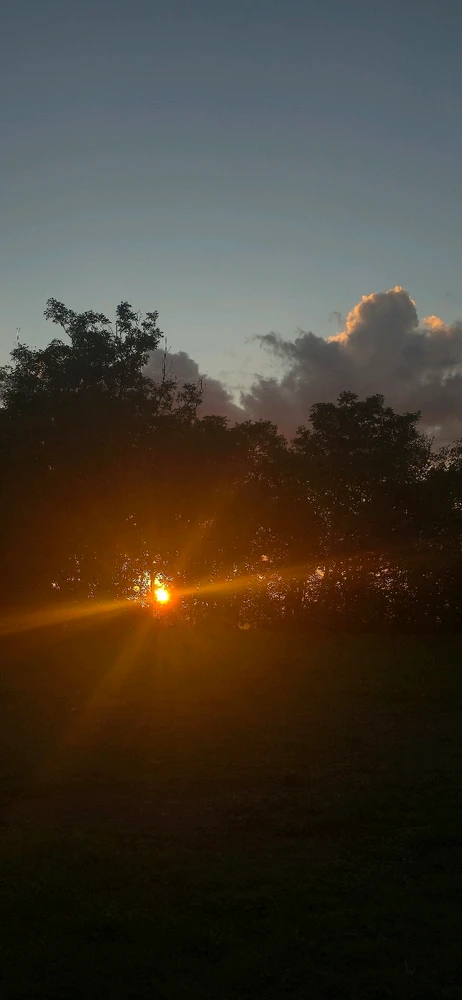 Immagine caricata da Lorenzo