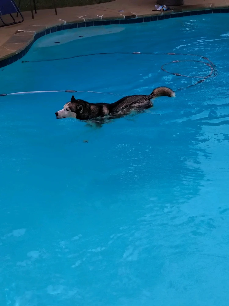 GIF uploaded by Jerry