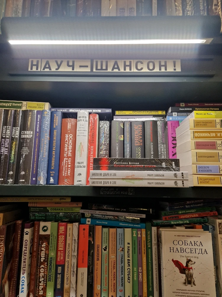 Подписные издания в Питере