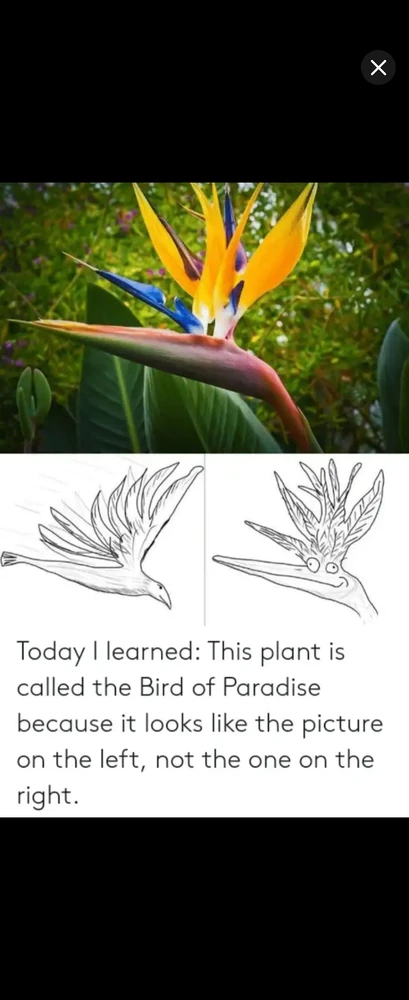 GIF uploaded by *JB* 🇬🇧🇬🇷