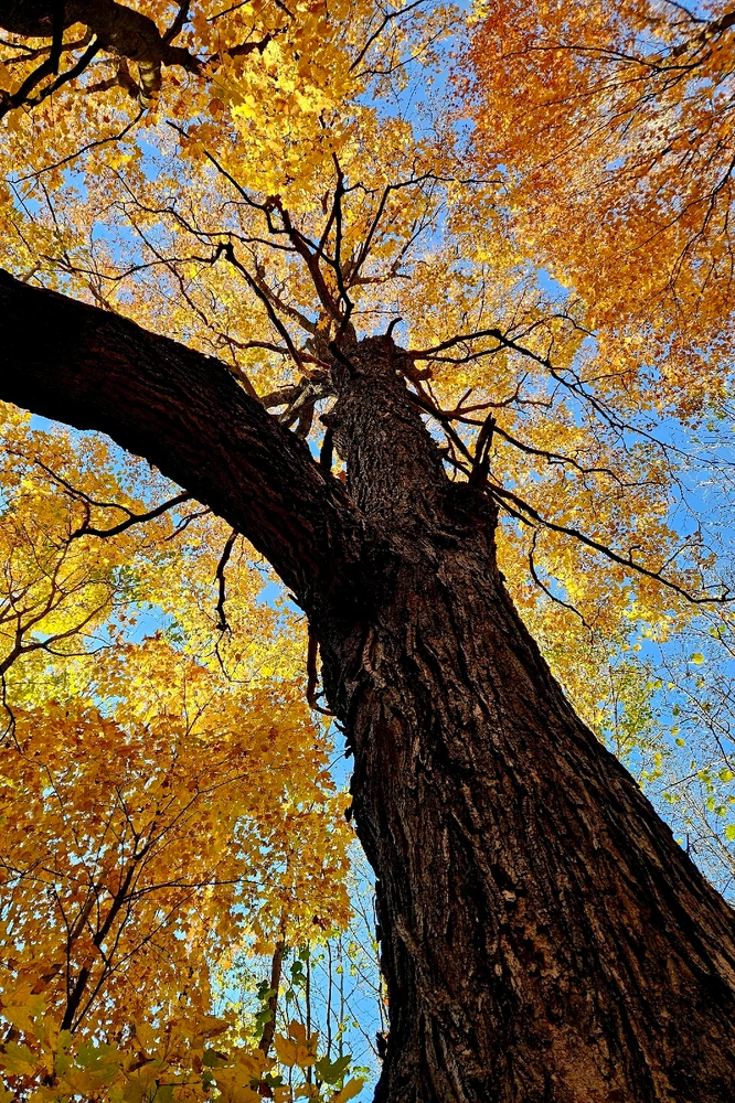 Merveilleuse nature ✨