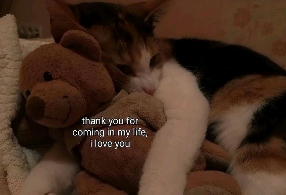 GIF uploaded by Danielle