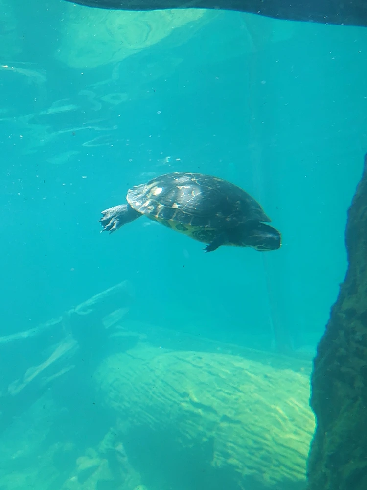 GIF uploaded by Jonathan