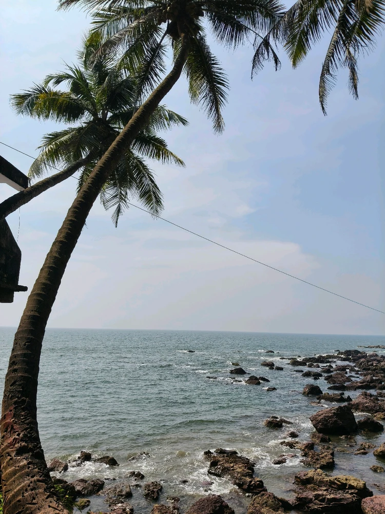 GIF postavljen od Shashank Naik