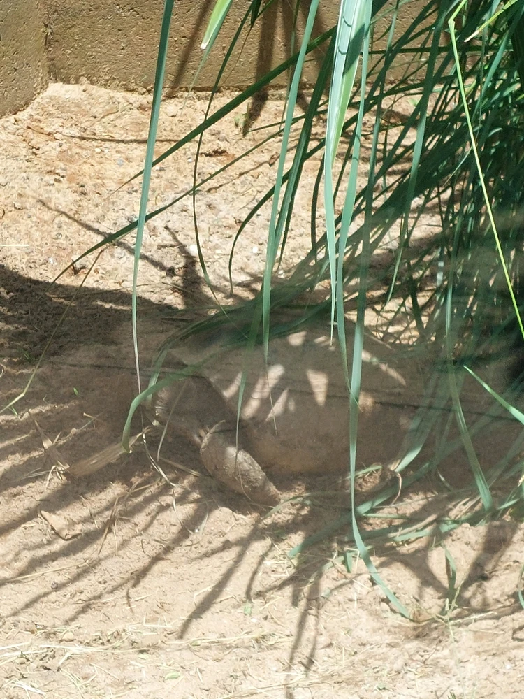 GIF uploaded by Jonathan