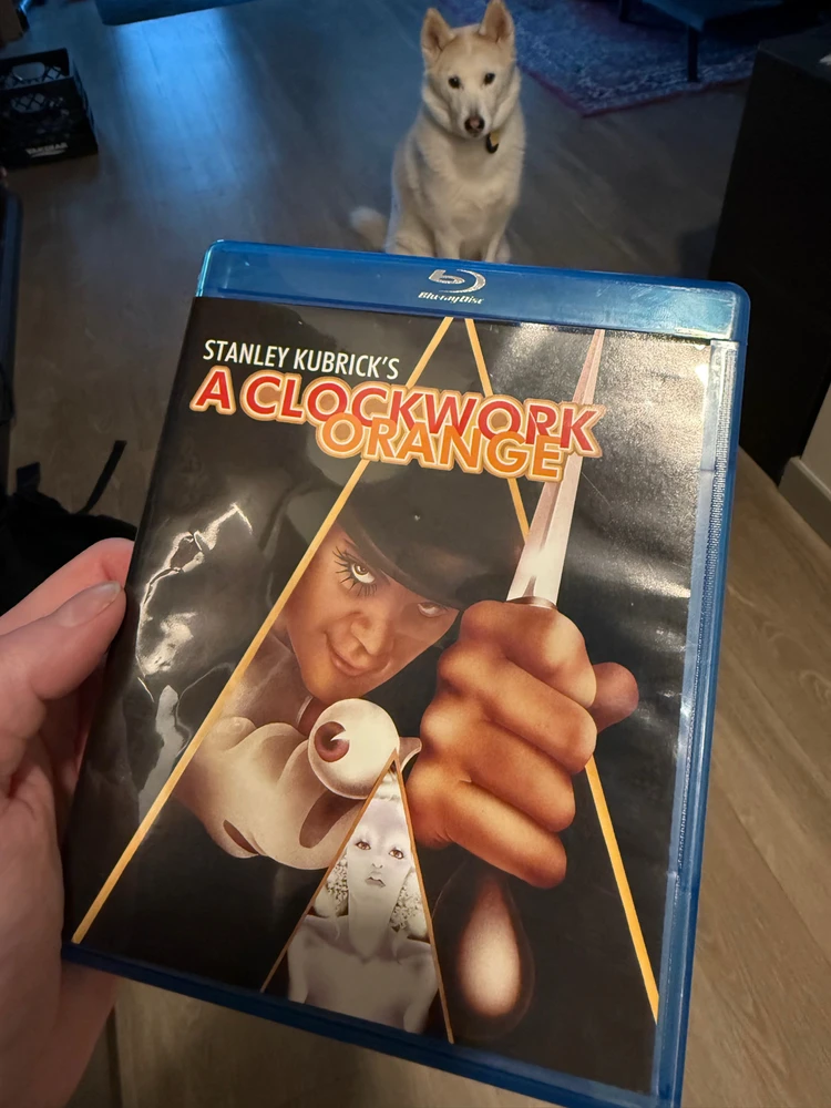 GIF uploaded by Stephen