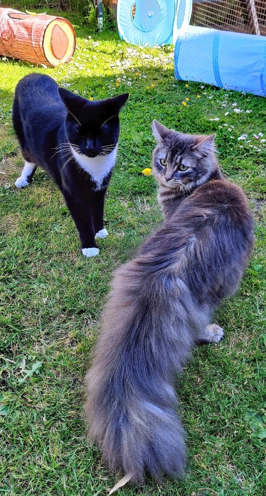 Image uploaded by Andy