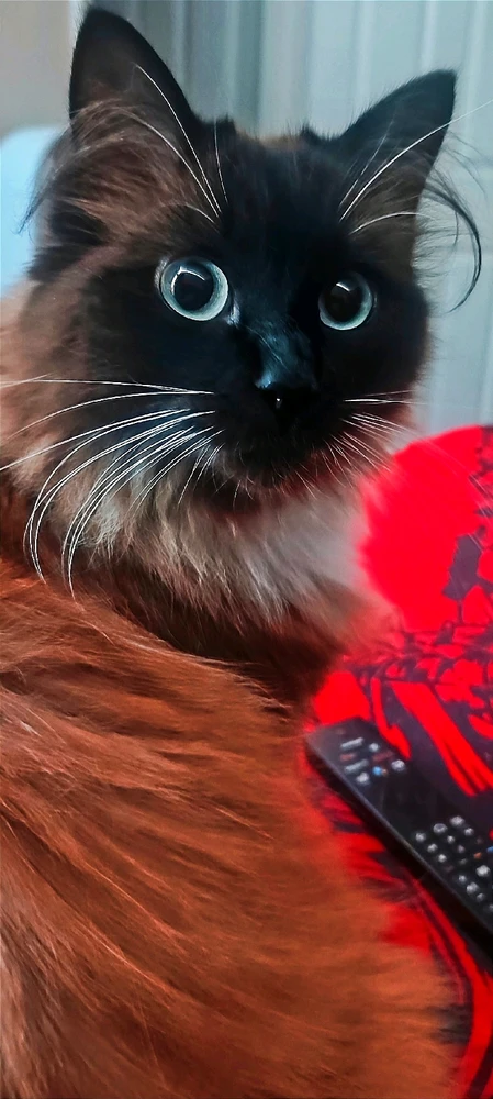 Image uploaded by Andy