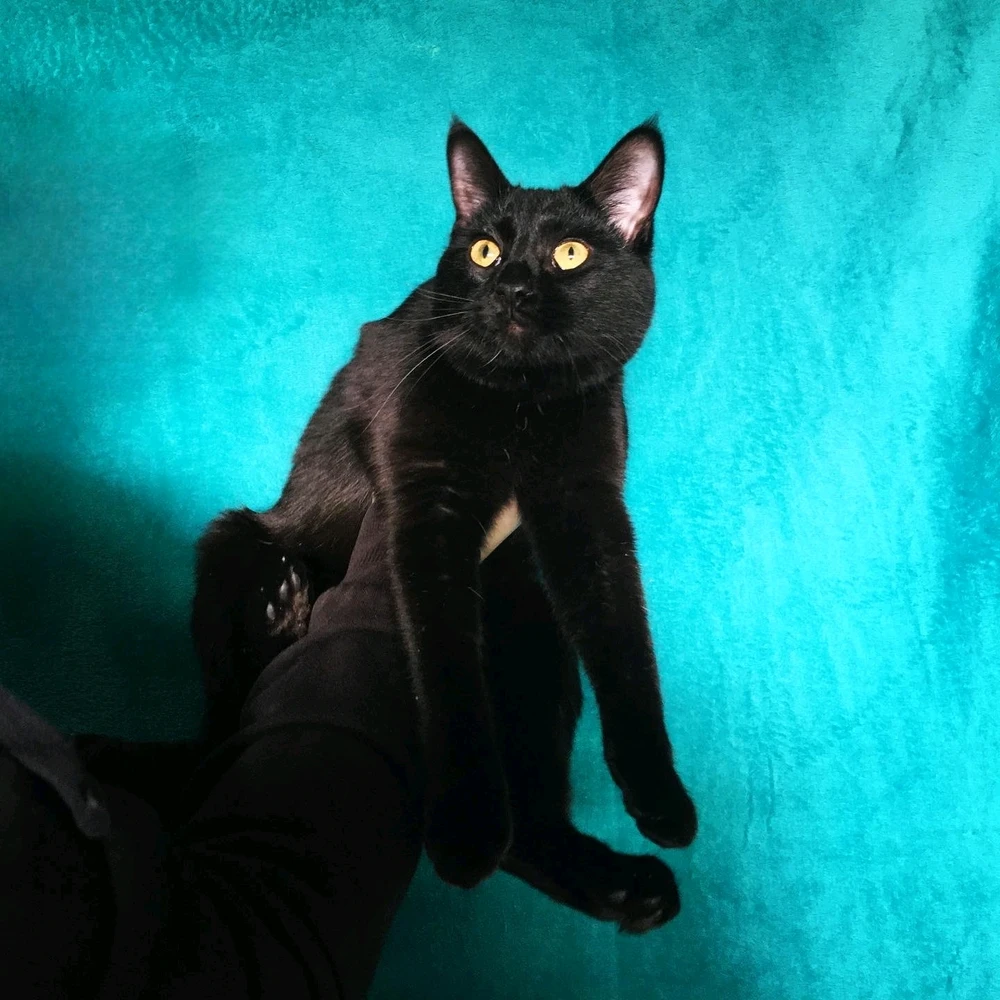 Image uploaded by Anthony