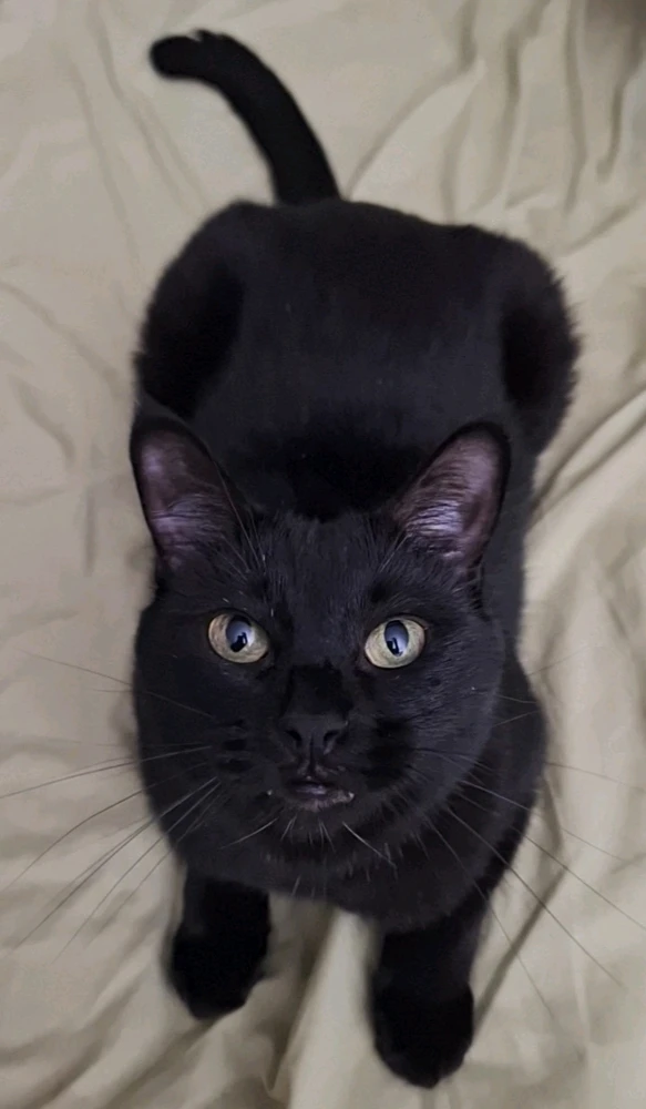 Image uploaded by Anthony